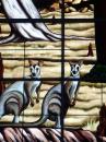 Kangaroo church window